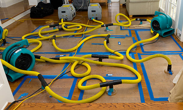 Professional Crawl Space Water Removal technician working in Model, CO